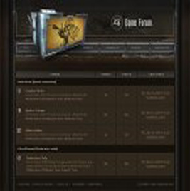 Programming Service successfull website